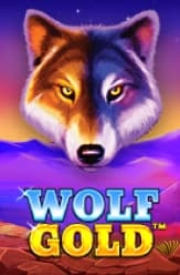 wolf gold online slot