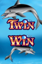 twin win slot game