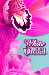 white orchid slot machine casino wins