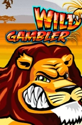 wild gambler free play